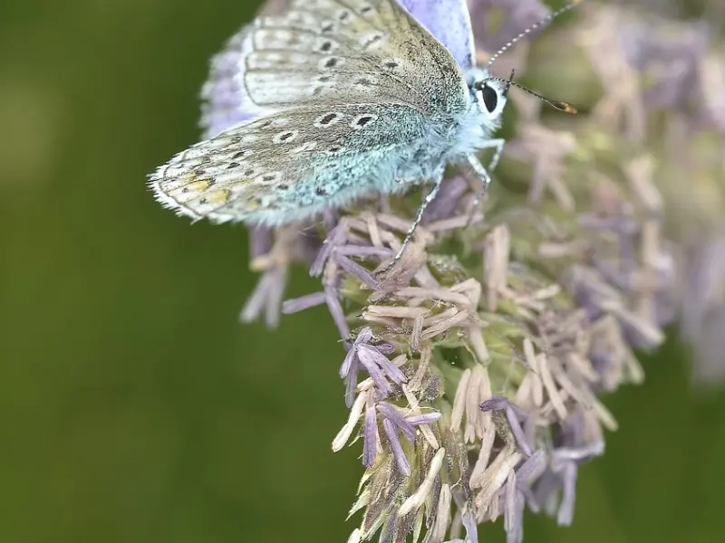 别用错误的方法，这才是挽回的核心!