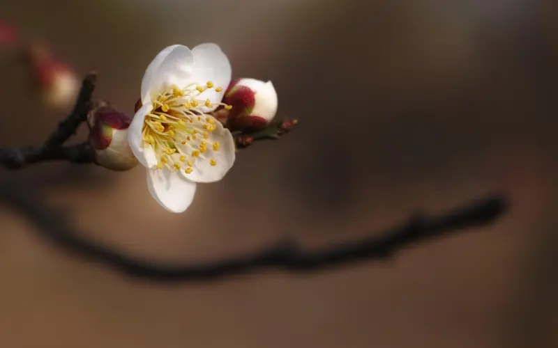别拿尊严，挽留不值得的感情