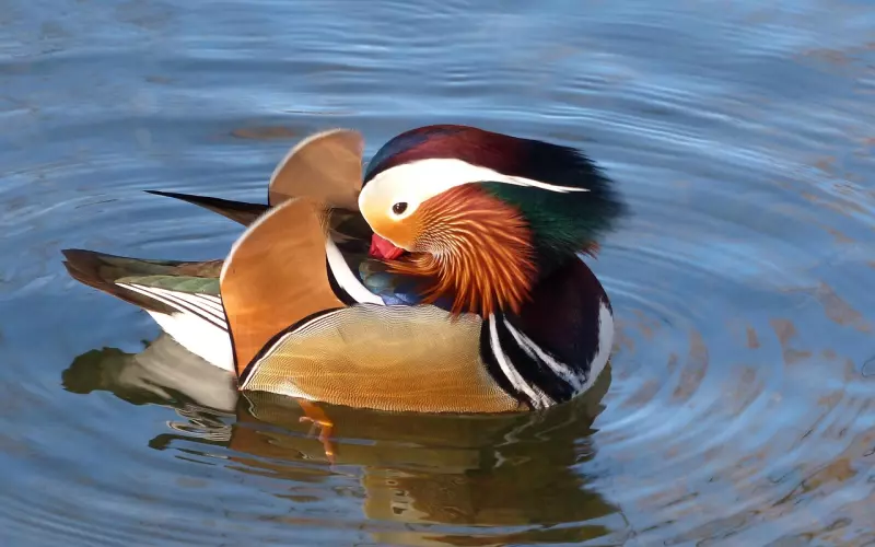 这些事不要等到他出轨以后才明白