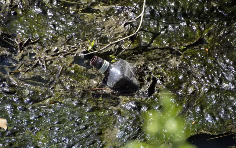 不要等到忍无可忍，才去想这个男人到底合不合适