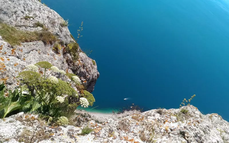 别等失去了，才知道珍惜！