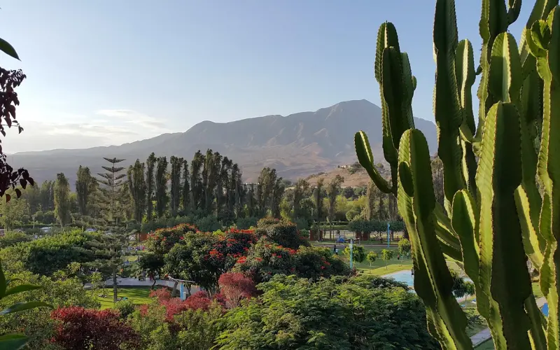别等失去，才知道珍惜