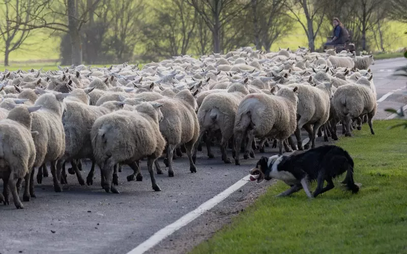 “双标狗”，最容易被分手！