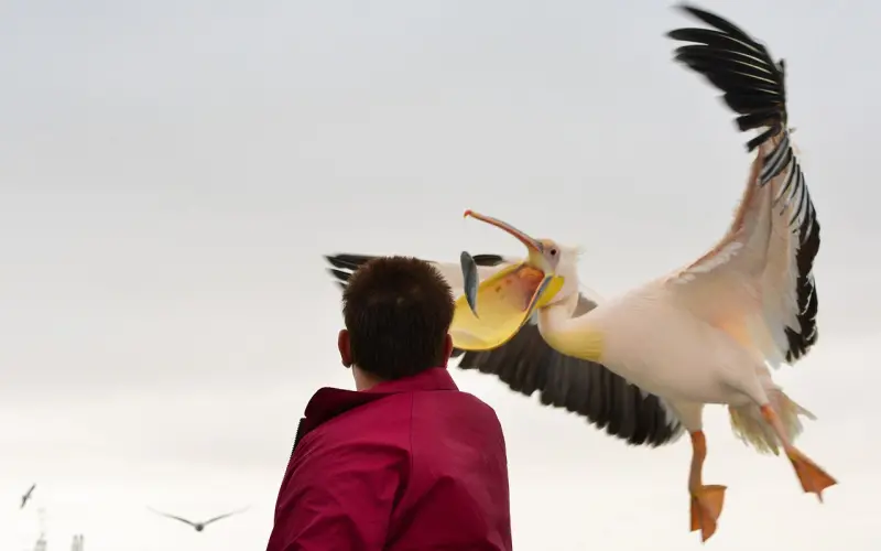 「海蓝博士」亲密关系中的七大杀手，你中招了吗？