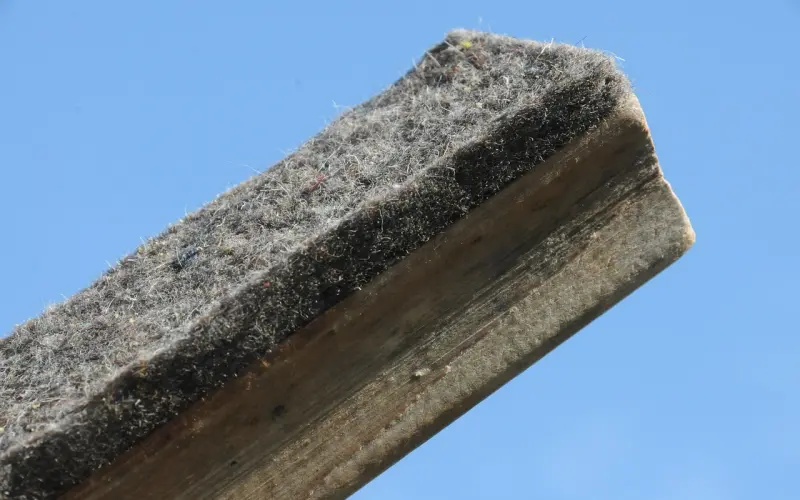 海蓝博士 寻爱课堂开课啦！