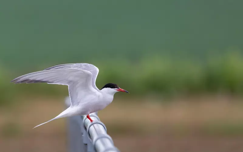 杜江霍思燕，奇闻CP：一起来嗑神仙爱情吧！
