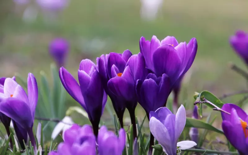 周公解梦：梦见这几场景，预示着能实现愿望，财运亨通，健康长寿