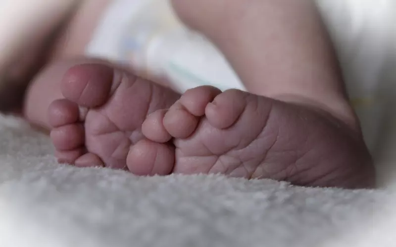 周公解梦：要是梦见了这件东西，最近会出现一个令你烦恼的追求者