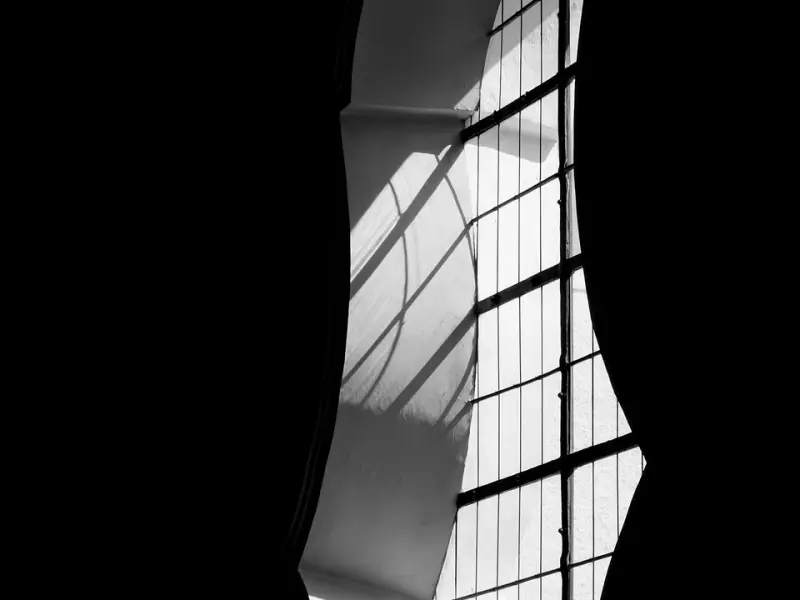 周公解梦：梦到这4种情况就偷着乐吧，个个吉兆，必会有好事发生