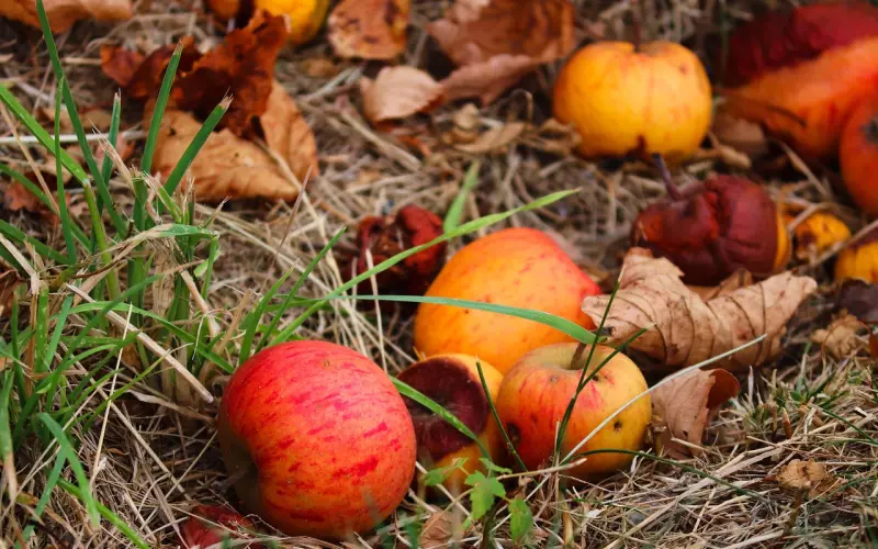 周公解梦：要是梦见了这件事，那么你将会有一大笔意外之财