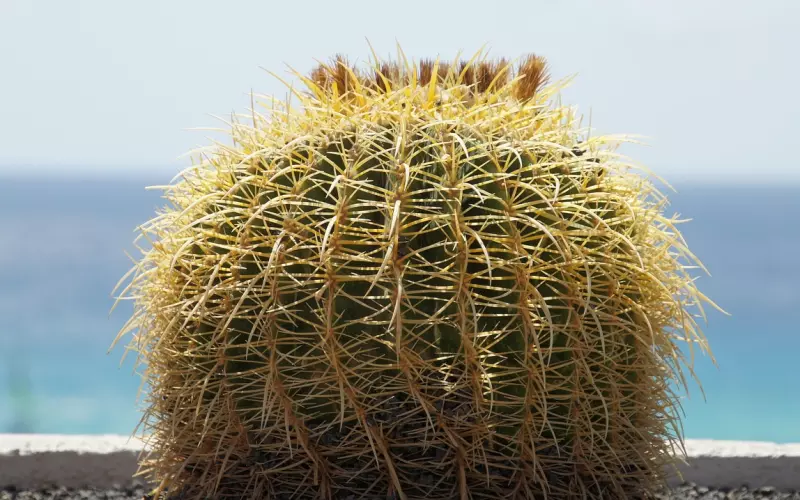 ​挽回中，小心你的主动变“侵犯”！