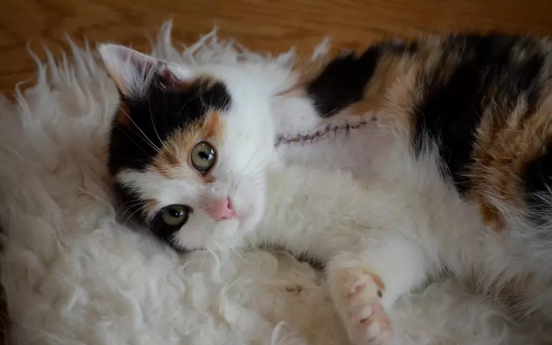 挽回中，谨记三条