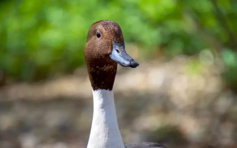 挽回中，最怕遇到这三种对象