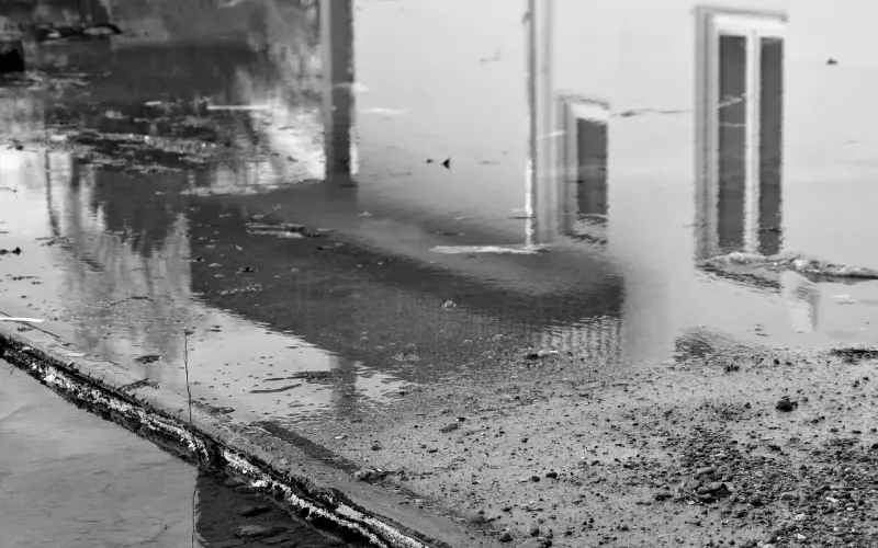 端午节，前任要和新欢开房，我该怎么办？