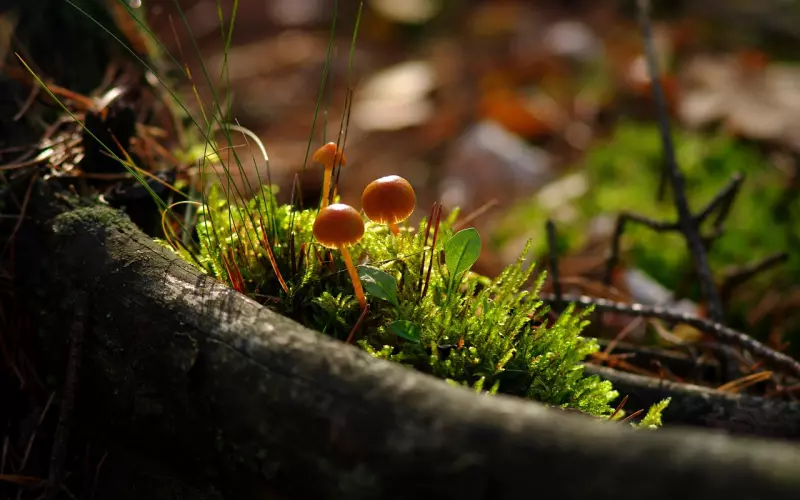 挽回中要学会抛下这 4 样东西，你们的感情才能死灰复燃！