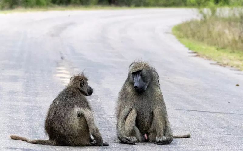 挽回中，两大行为让前女友躲得远远的