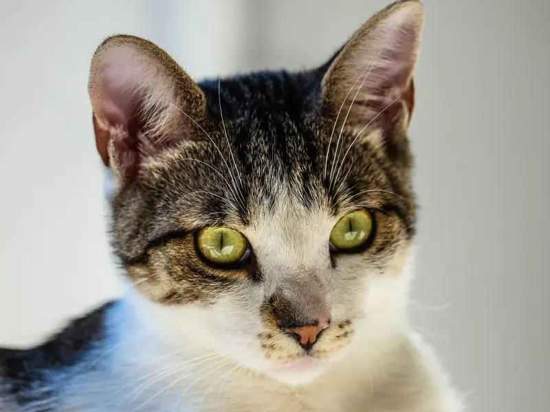 挽回过程中，别说这句话，这可能会马上失去ta！