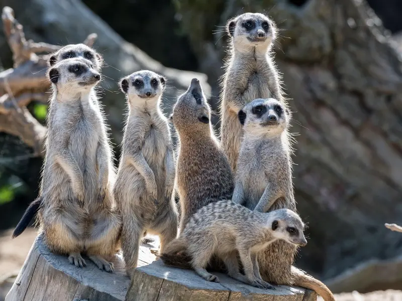 挽回中，小心你的沟通激起对方的戒备心！