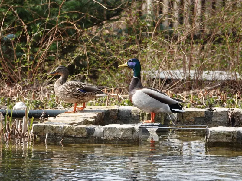 挽回中，他对我很好却坚决不松口，他到底在想什么？