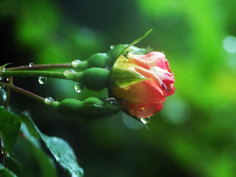 挽回过程中，男生有这种反应，说明你有戏了！