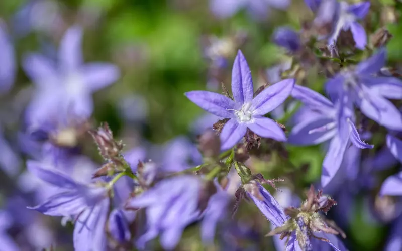 初夏：分手后挽回的最佳时机