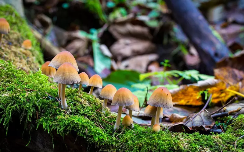 教养与素质都是在人的认知盲区里！所以，很少听谁说自己没有素质没有教养！