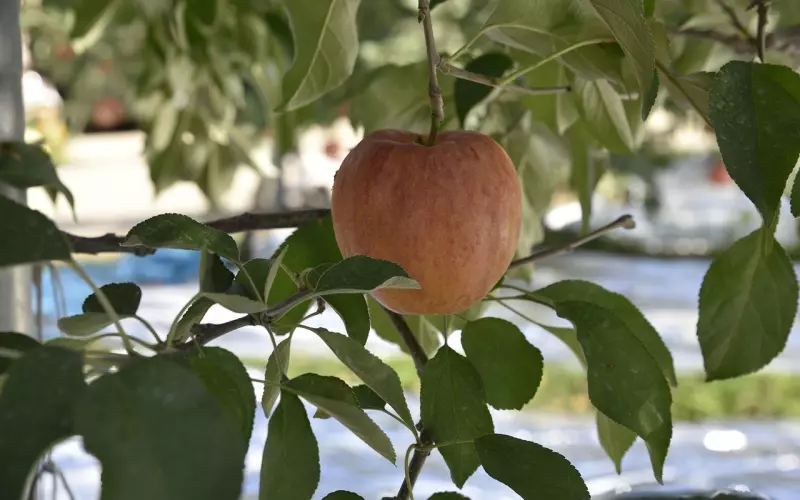 挽回的有效道歉技巧