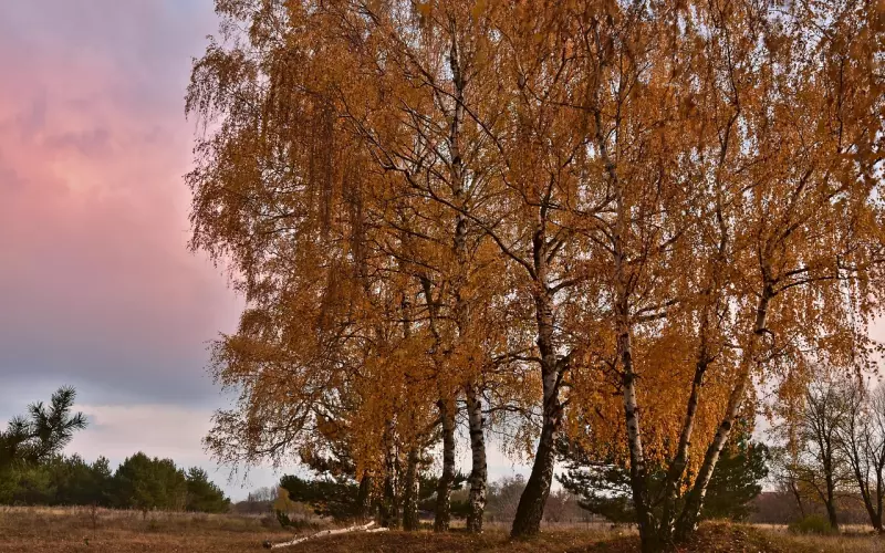 不同情况下的有效挽回策略