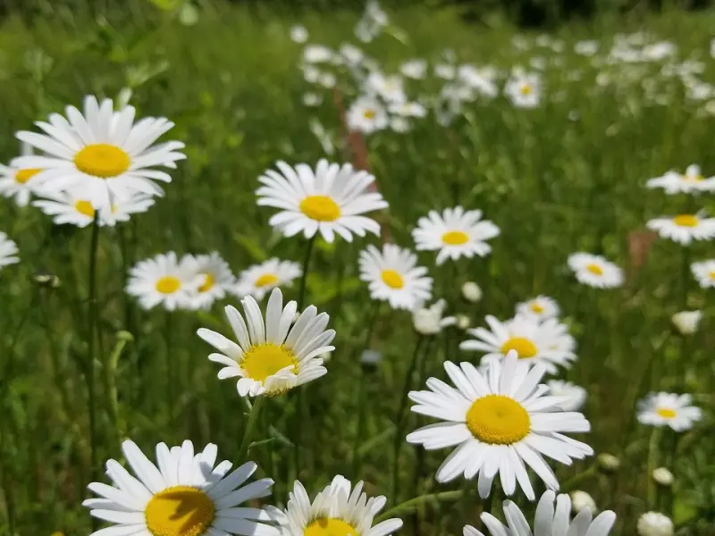 有效挽回女友的技巧：异地女友不喜欢我了如何挽回？