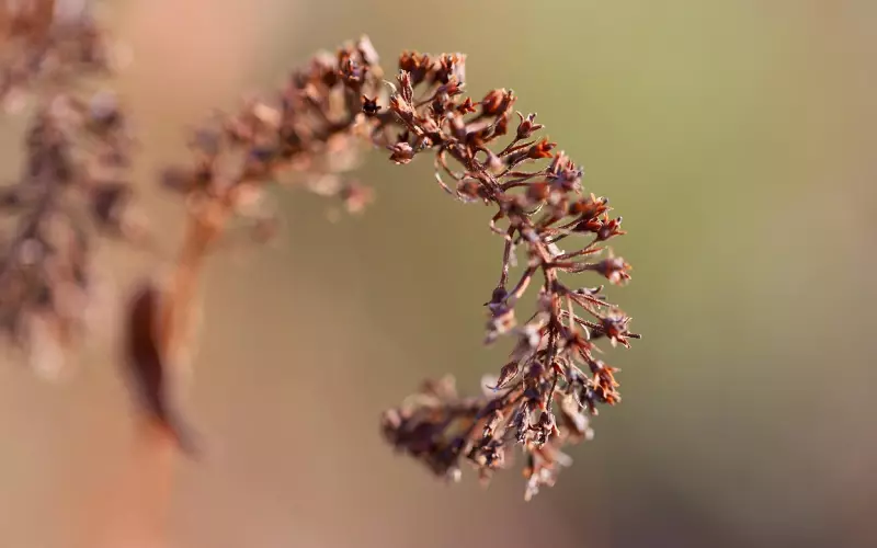 有效挽回女友的方法：伤透了女孩的心如何挽回？