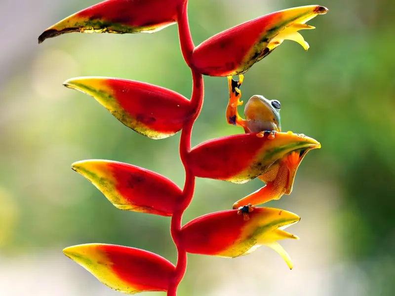 有效挽回天蝎男友方法