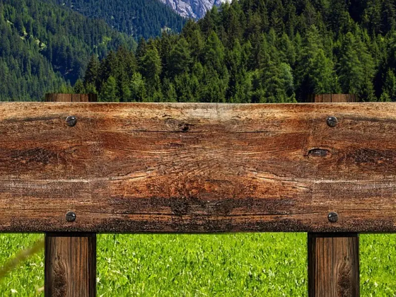 有效的挽回女友的方法：女友对我越来越冷淡，如何挽回？