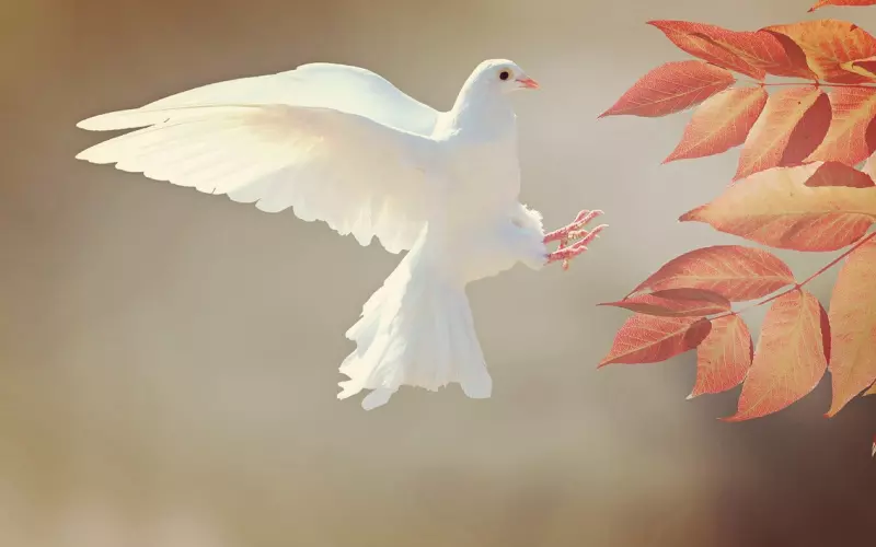 分手后挽回男友的有效方法