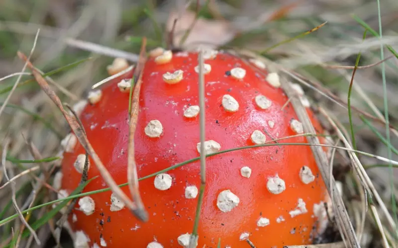 八句金言，毒到人心！