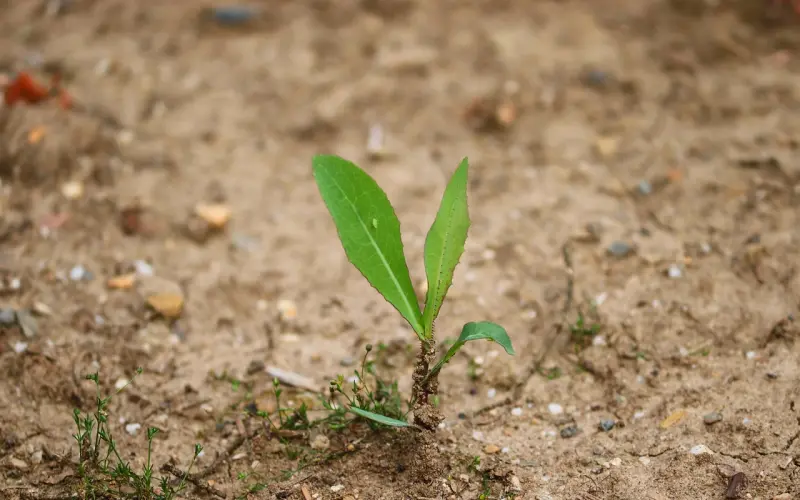21年8任恋人，她曾经被李亚鹏伤透了心，如今嫁给了他...