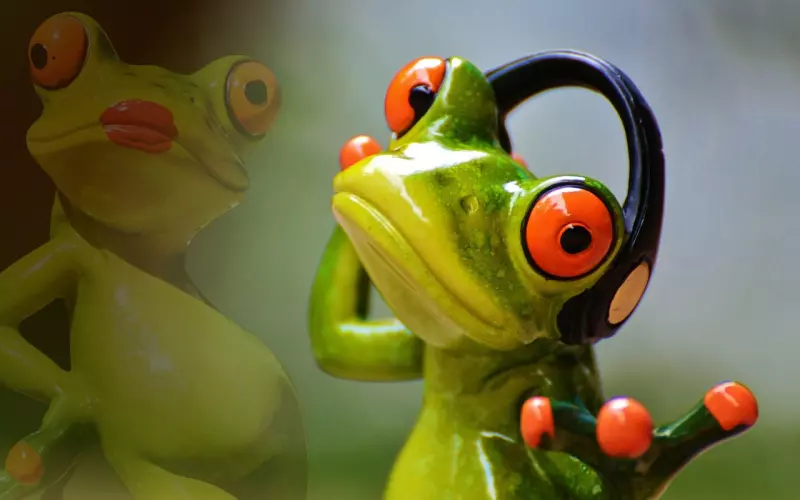 你最不该给你前任发送的八条短信