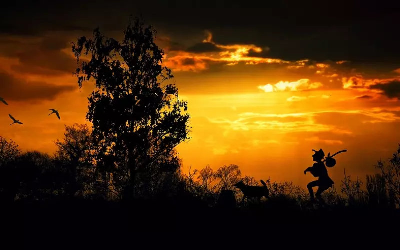八句话送给晚上睡不着的人！