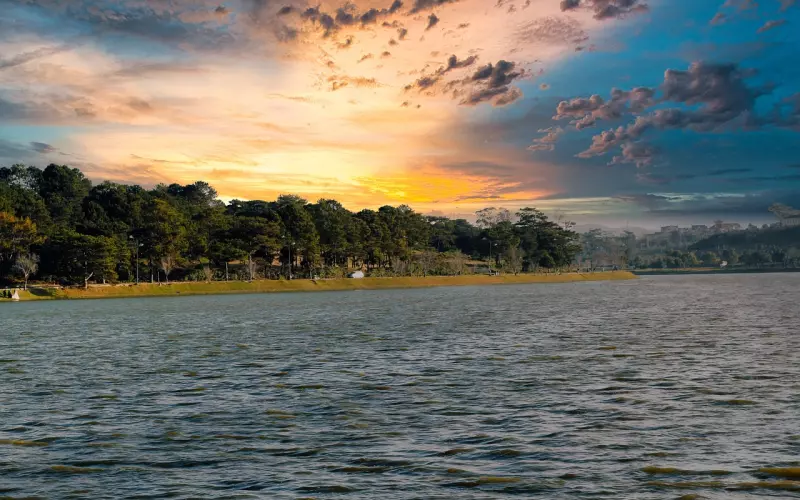 萧亚轩公布恋情：十条恋爱守则