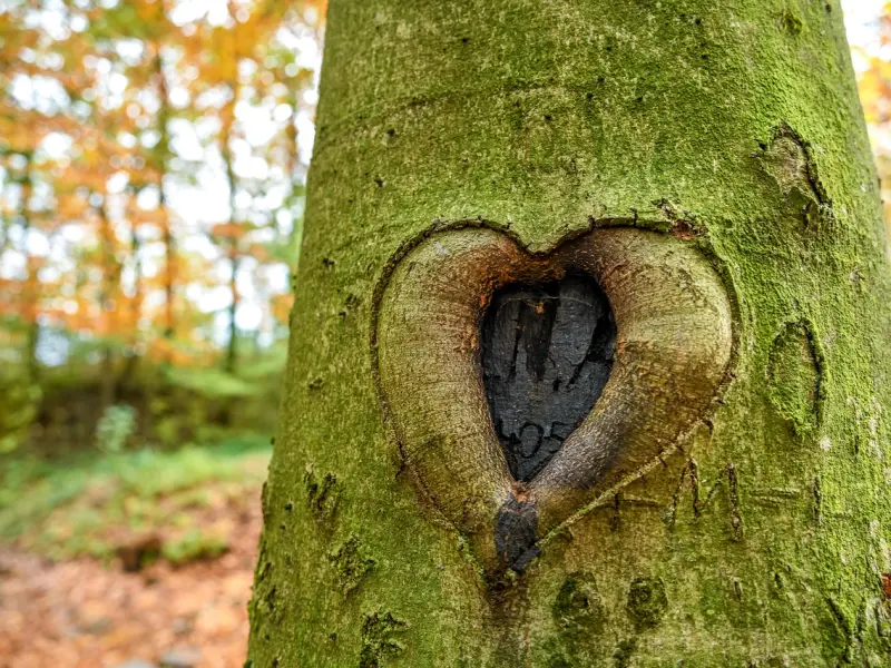 情感测试|测测你暗恋的人是否也喜欢你？