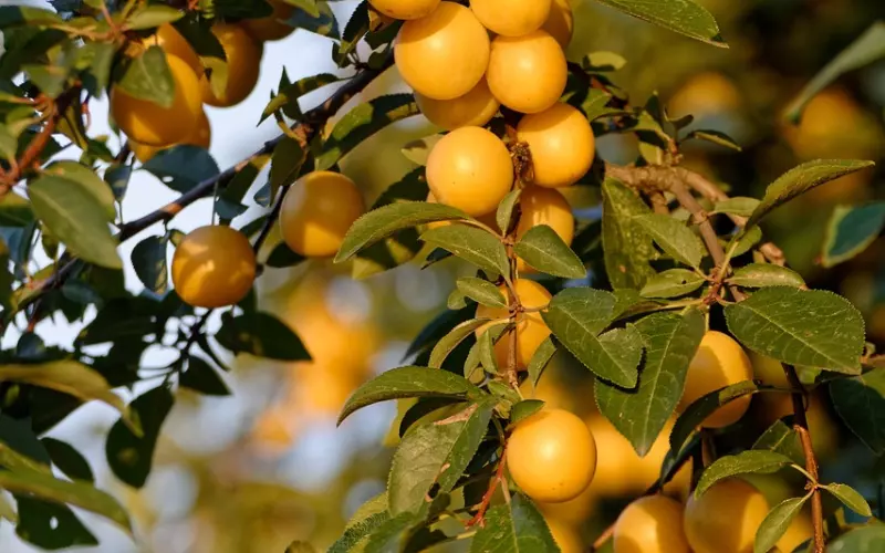 【感爱情感解答】为什么我要承受突如其来的分手