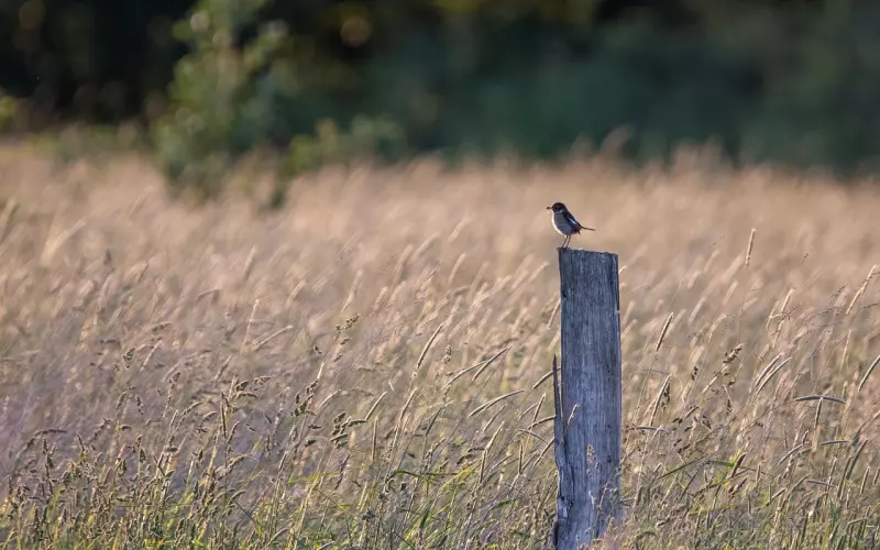 情感案例：九年感情，尬聊结束？