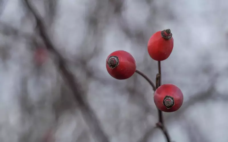 情感案例：之前让前女友人流，害怕她得了不孕症