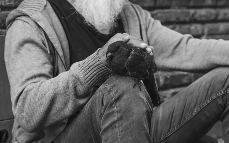 情感案例：如何与不安全感相处