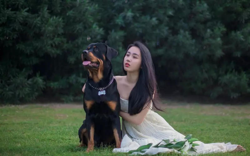 情感咨询：分手希望复合是因为爱还是怀念陪伴？