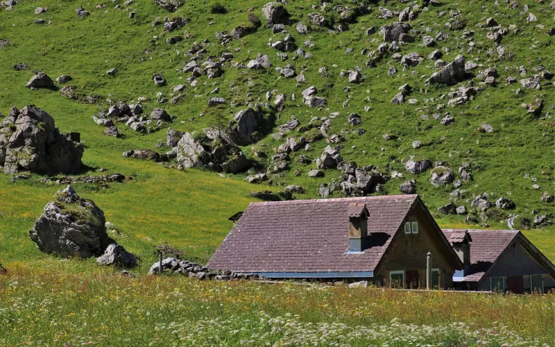 情感咨询：在挽回中该怎么投入才能成功挽回