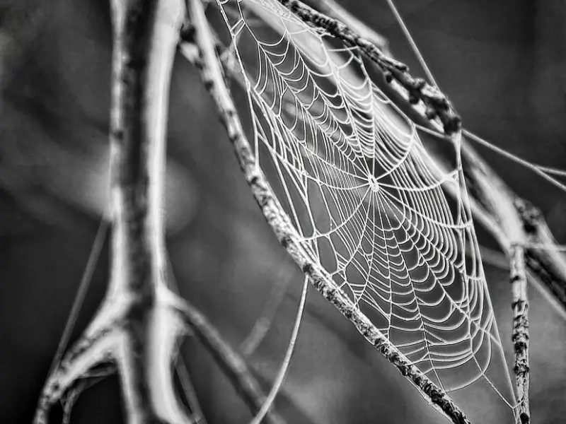 情感咨询：和网恋男友见面次数少，患得患失的我要如何挽回爱情