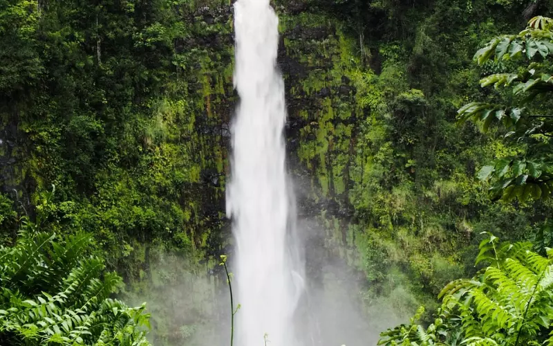 情感咨询公司康纳：你的老公到底要的是什么？
