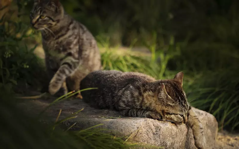 情感咨询：男友提出分手常用的7个不靠谱理由