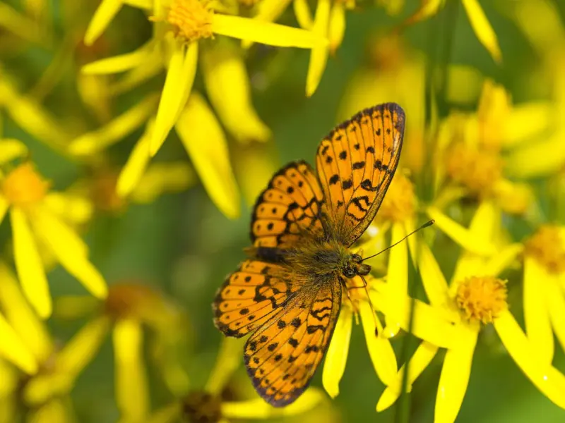 情感咨询：7个小妙招挽回出轨老公的心