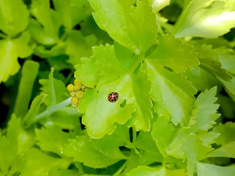 情感咨询：一段好的两性关系，是不会让你害怕的